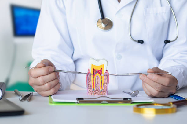Best Dentist for Tooth Abscess  in Lifornia Polytechnic State University, CA